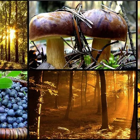 Nad Jeziorem/seehaus 1a Domek letniskowy Letowo (West Pomeranian)