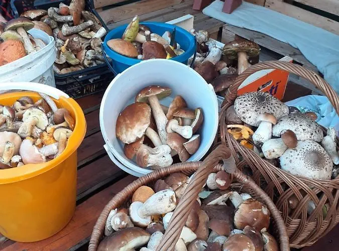 Nad Jeziorem/seehaus 1a 롯지 Letowo (West Pomeranian)