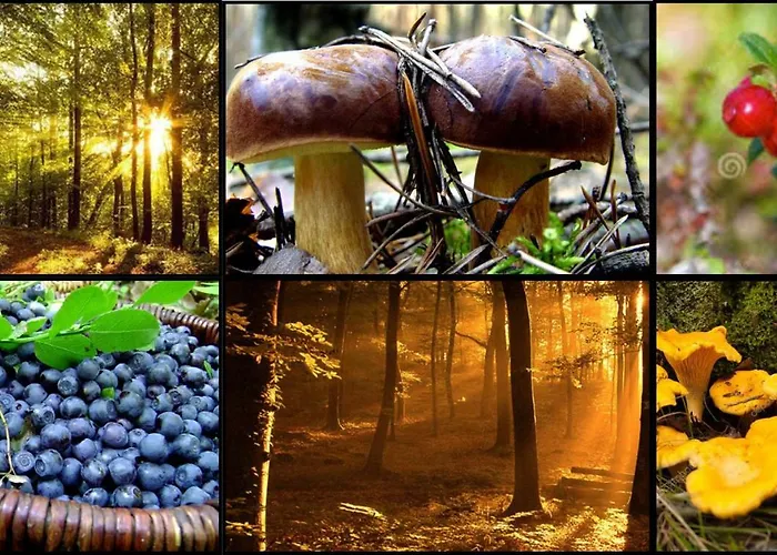 Nad Jeziorem/seehaus 1a 롯지 Letowo (West Pomeranian)